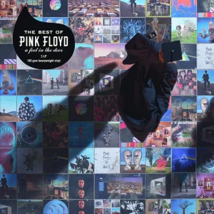 Pink Floyd  A Foot In The Door: The Best Of  Vinyl 2LP